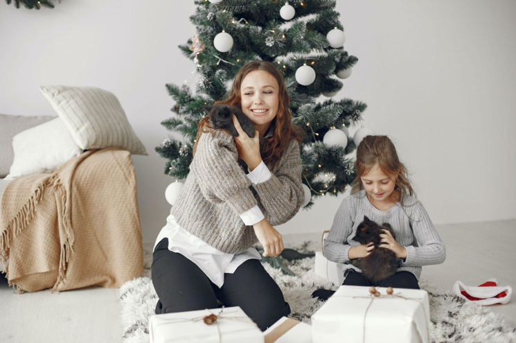 The Joy of Decorating with Tabletop Christmas Trees