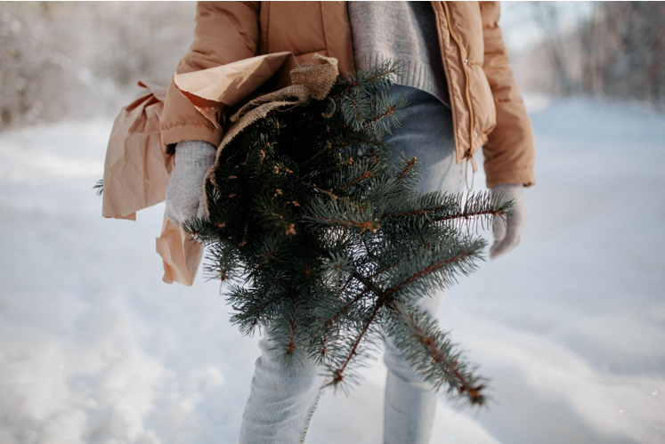 Add Sparkle to Your Christmas Tree with These Stars